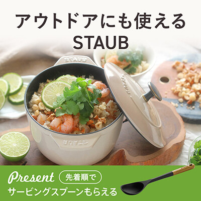 5654_banner_staub_line