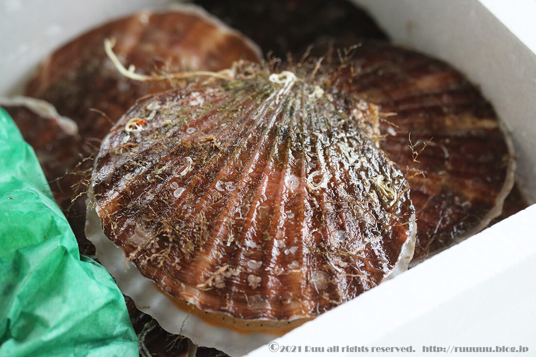 献立 活ほたてのお刺身と卵の煮つけと 陸奥湾のほたてがめちゃくちゃ肉厚で美味しさがパネエです るぅのおいしいうちごはん Powered By ライブドアブログ 献立 活ほたてのお刺身と卵の煮つけと 陸奥湾のほたてがめちゃくちゃ肉厚で美味しさがパネエです るぅのおいしいうちごはん Powered By ライブドアブログ