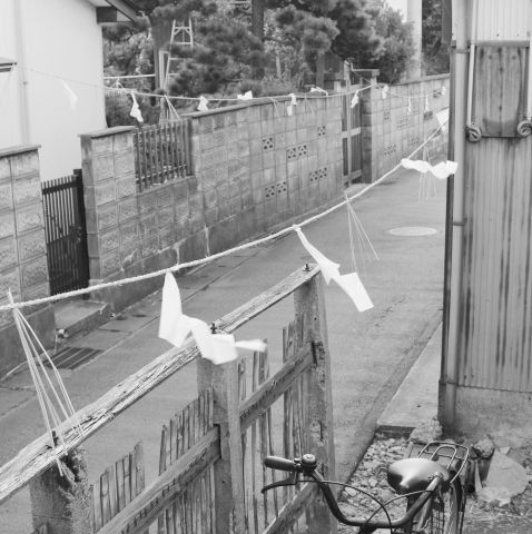 るぅのおいしいうちごはん