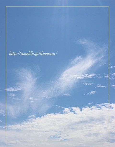 るぅのおいしいうちごはん