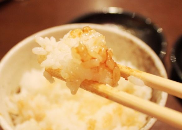 るぅのおいしいうちごはん