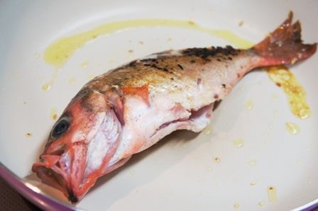 るぅのおいしいうちごはん