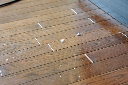 るぅのおいしいうちごはん