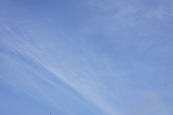 るぅのおいしいうちごはん