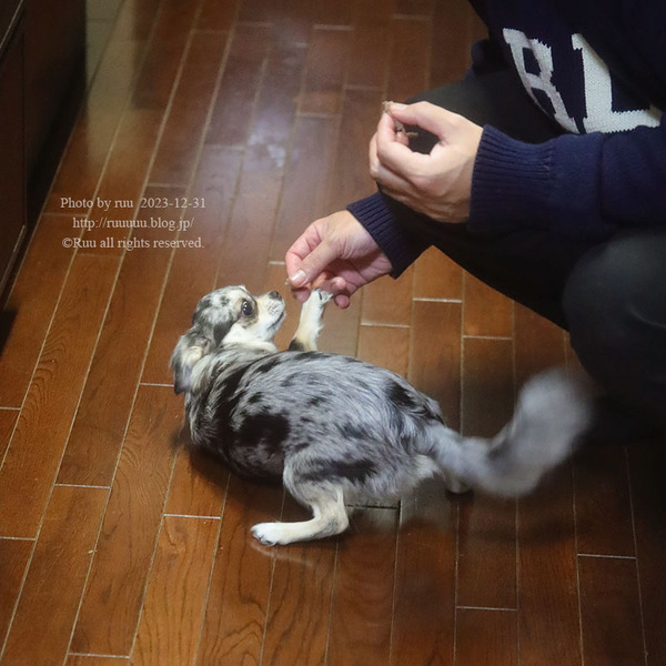 0B8A9715 のコピー