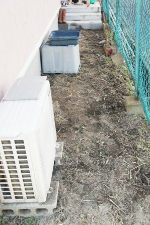 るぅのおいしいうちごはん