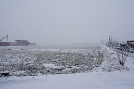 るぅのおいしいうちごはん