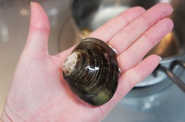 るぅのおいしいうちごはん