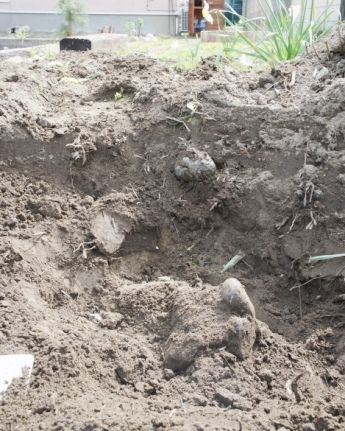 るぅのおいしいうちごはん