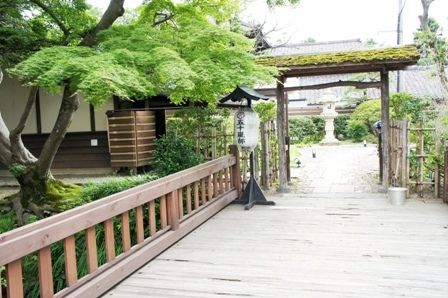 るぅのおいしいうちごはん