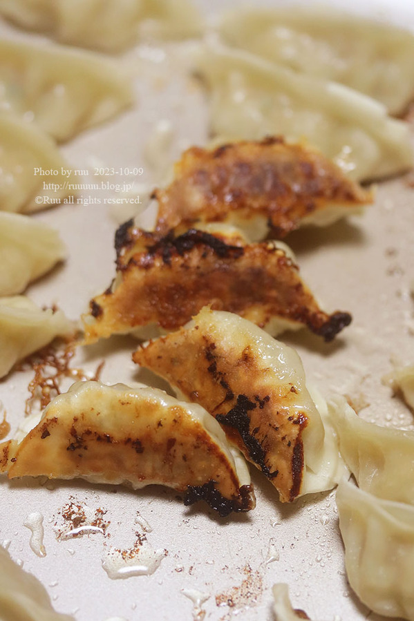 0B8A5423 のコピー