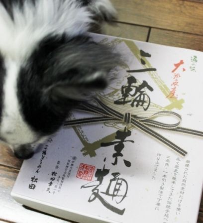 るぅのおいしいうちごはん