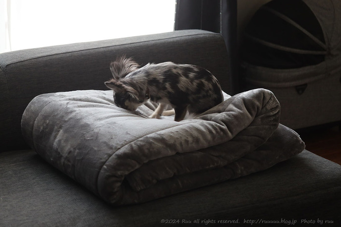 0B8A5128 のコピー