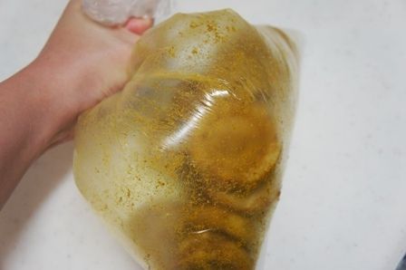 るぅのおいしいうちごはん