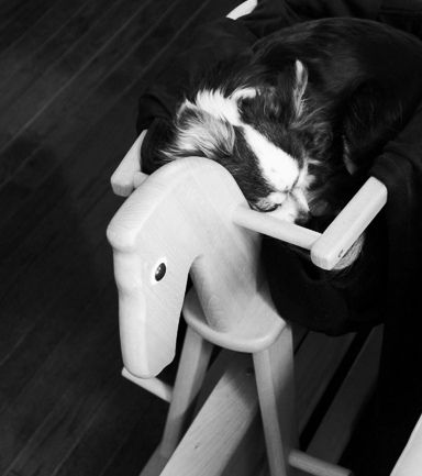 るぅのおいしいうちごはん