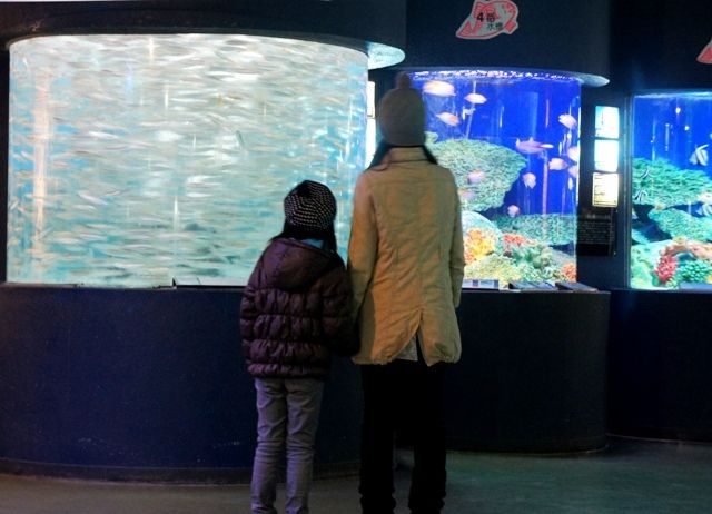 るぅのおいしいうちごはん