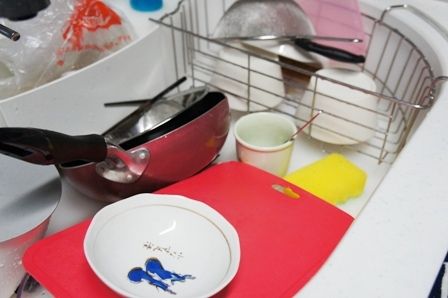 るぅのおいしいうちごはん