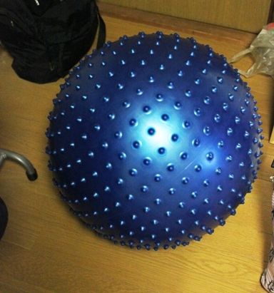 るぅのおいしいうちごはん