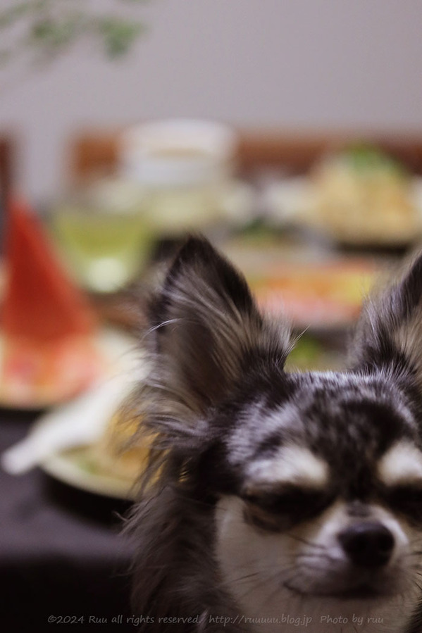 0B8A5406 のコピー