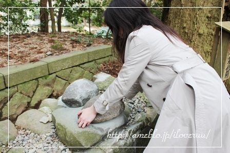 るぅのおいしいうちごはん