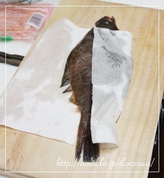 るぅのおいしいうちごはん