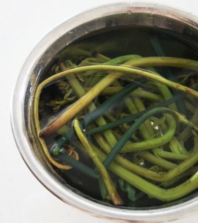 るぅのおいしいうちごはん