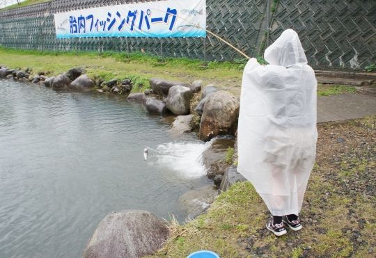 るぅのおいしいうちごはん