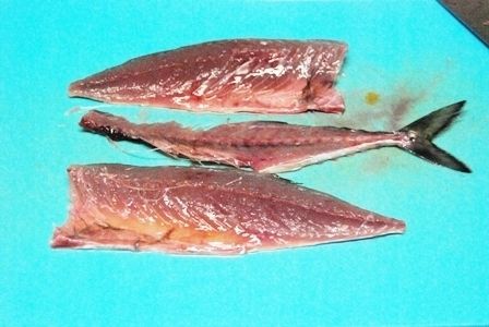 るぅのおいしいうちごはん