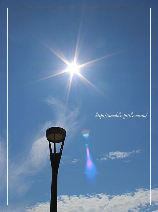 るぅのおいしいうちごはん