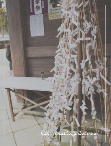 るぅのおいしいうちごはん