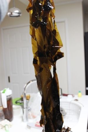 るぅのおいしいうちごはん