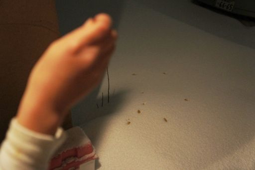 るぅのおいしいうちごはん