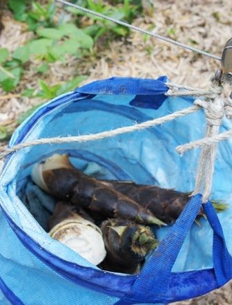 るぅのおいしいうちごはん