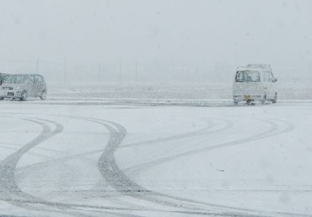 るぅのおいしいうちごはん