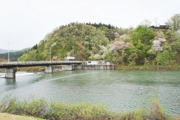 るぅのおいしいうちごはん