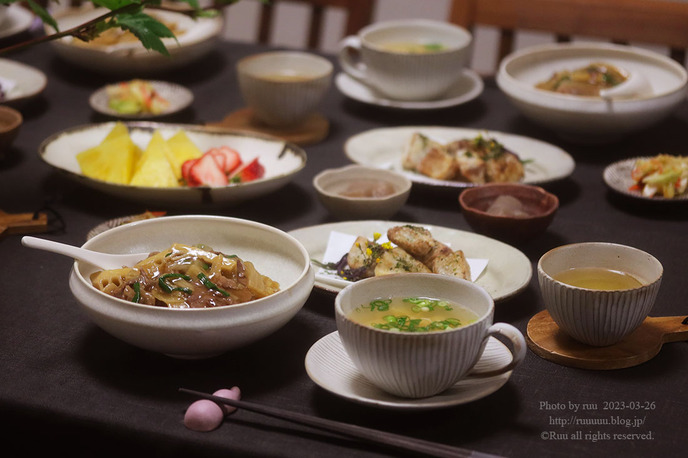 0B8A2911 のコピー