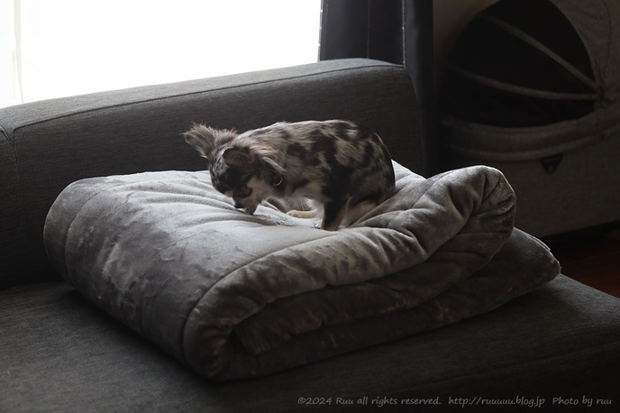 0B8A5127 のコピー