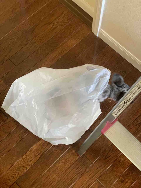 FullSizeRender