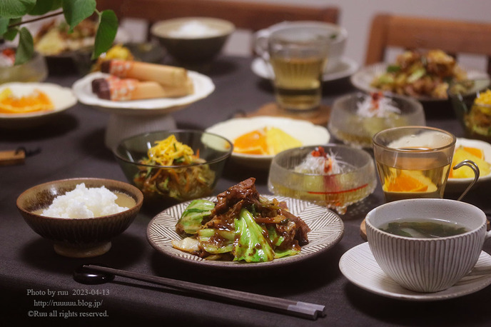 0B8A4028 のコピー