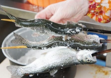 るぅのおいしいうちごはん