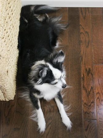 るぅのおいしいうちごはん