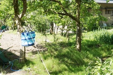 るぅのおいしいうちごはん