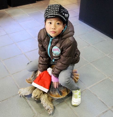 るぅのおいしいうちごはん