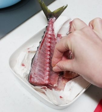 るぅのおいしいうちごはん