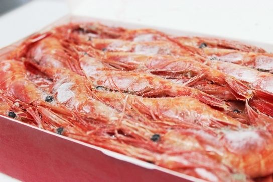 るぅのおいしいうちごはん