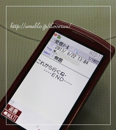 るぅのおいしいうちごはん