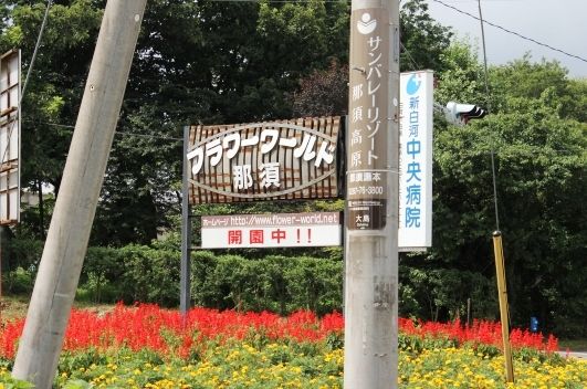 るぅのおいしいうちごはん