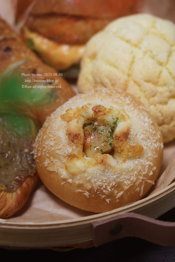 0B8A3425 のコピー