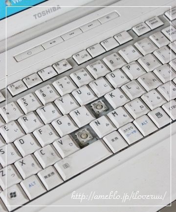 るぅのおいしいうちごはん