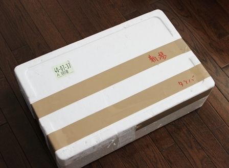 るぅのおいしいうちごはん